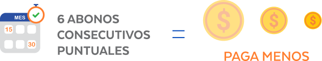 6 Abonos consecutivos puntuales
